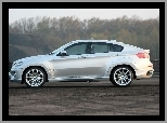 BMW X6, SUV